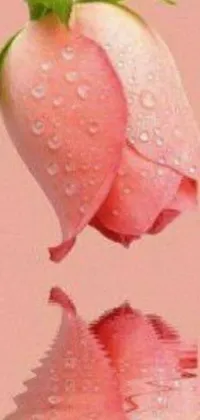 This live phone wallpaper features a beautiful digital depiction of a flower with water droplets on it