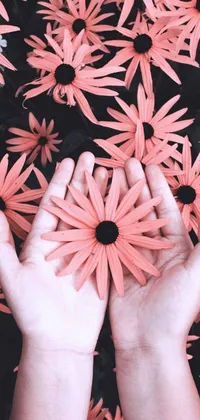 This live wallpaper is a stunning image of a person holding pink flowers