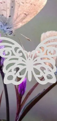 This live wallpaper features a beautiful butterfly resting on a purple flower against a white metal stipple background