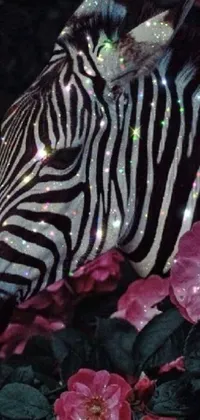 This phone live wallpaper features a striking close-up of a zebra standing in a colorful field of flowers