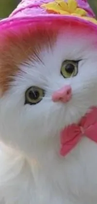 This phone live wallpaper features a close-up view of a charming cat wearing a hat