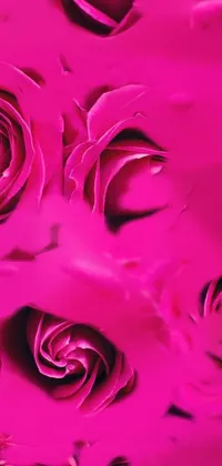 ug8 Live Wallpaper