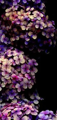 This phone live wallpaper features a stunning macro photograph of purple flowers, shot using a Hasselblad camera and depicting the deity of hydrangeas