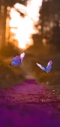 A stunning live wallpaper featuring beautiful butterflies fluttering on a forest path during a purple sunset