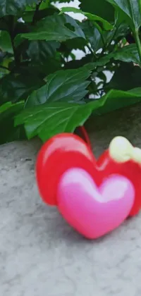 The phone live wallpaper features a vibrant red heart-shaped object resting on a hard cement slab
