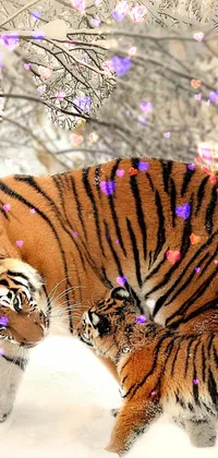 Tiger love Live Wallpaper