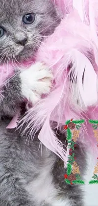This phone live wallpaper showcases a charming grey kitten resting atop a vibrant pile of pink feathers