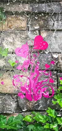 Plant Pink Grass Live Wallpaper