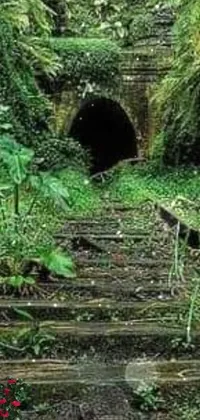 This stunning phone live wallpaper will transport you to a lush green forest, featuring a stunning tunnel that leads you deep into the heart of nature