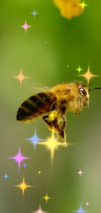 Abeja 🐝  Live Wallpaper