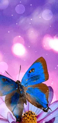 Plant Pollinator Butterfly Live Wallpaper