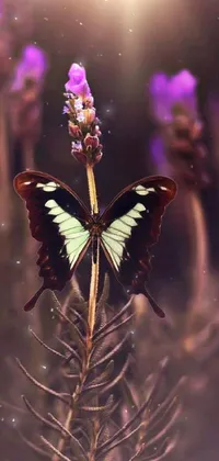 Plant Pollinator Insect Live Wallpaper