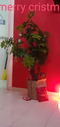 Plant Property Flowerpot Live Wallpaper