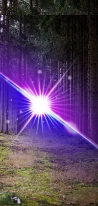 This vibrant live wallpaper features a captivating center of a purple light amidst a serene forest setting