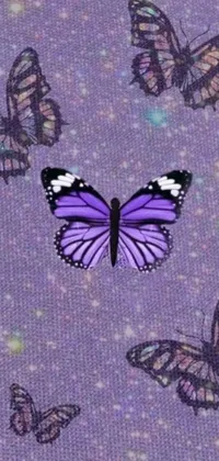 This phone live wallpaper showcases a purple and black butterfly on a beautiful deep purple background