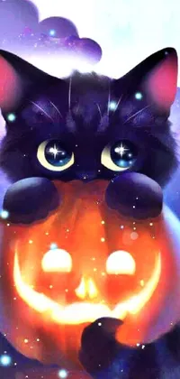 This mobile live wallpaper features a charming black cat perched atop an orange pumpkin, perfect for the Halloween season