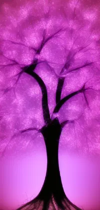 Plant Purple Flower Live Wallpaper