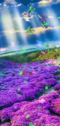 This live wallpaper showcases a serene scene of a purple flower-filled field under a cloudy sky