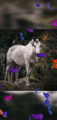 This live wallpaper features a white horse standing tall on a lush green field, adding a touch of magic and majesty to your phone's background
