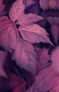 Plant Purple Petal Live Wallpaper