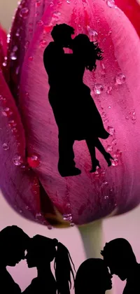 Looking for a stunning live phone wallpaper that's both romantic and elegant? This image features a beautiful silhouette of a couple in front of a vibrant tulip