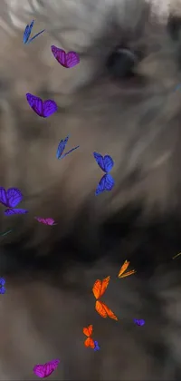 Plant Purple Sky Live Wallpaper