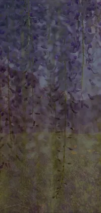 Plant Purple Twig Live Wallpaper