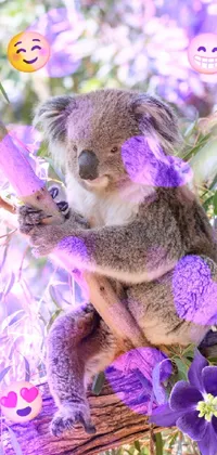This live phone wallpaper showcases a delightful koala sitting atop a branch and surrounded by beautiful flowers