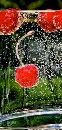 This phone live wallpaper showcases two cherries floating in a glass of water, painted in photorealistic pointillism style