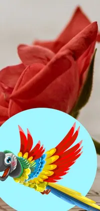 This captivating phone live wallpaper showcases a colorful parrot perched atop a vibrant red rose