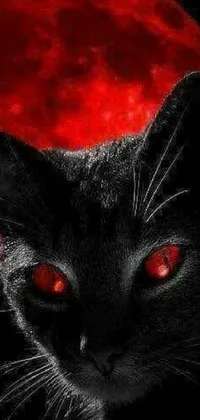 This phone live wallpaper showcases a mesmerizing gothic art featuring a black cat with red eyes sitting against a red moon
