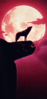 This live phone wallpaper showcases a strong and fierce wolf standing on a cliff, in front of a full moon