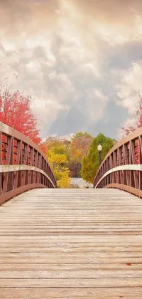 Introducing a wooden bridge phone live wallpaper with a peaceful water body in the background