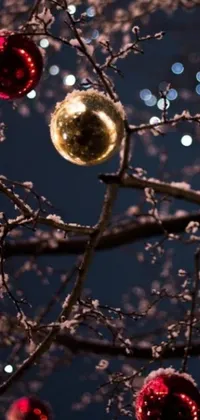 This live wallpaper is the perfect way to get into the holiday spirit! Featuring a close-up of a Christmas tree adorned with colorful ornaments, the enchanting image is captured on a snowy night