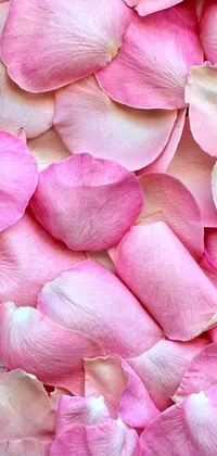 This stunning live wallpaper boasts a close-up of pink petals in a renaissance-style design, perfect for a stylish iPhone 15 background