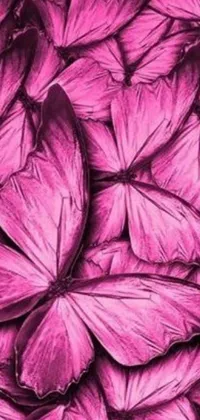 This phone live wallpaper showcases a beautiful close-up of pink butterflies