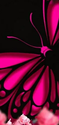 Enhance your phone's aesthetic with this vibrant live wallpaper featuring a pink butterfly on a sleek black background