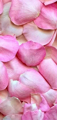 This phone live wallpaper features a stunning close-up of beautiful pink flowers with an elegant Renaissance style, showcasing large individual rose and lily petals and rich green leaves