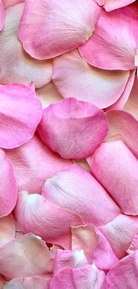 Adorn your phone screen with a mesmerizing live wallpaper that showcases a close-up shot of soft pink flower petals