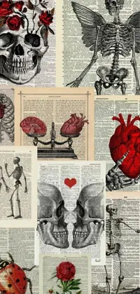 Looking for a phone live wallpaper that's dark, edgy, and full of intriguing imagery? Check out this captivating collage of skulls, flowers, poster art, tumblr, gothic-inspired designs, red hearts, medical illustrations, old newspaper clippings, x-ray prints, and handwritten letters