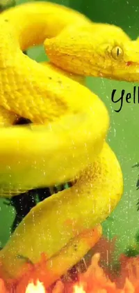 Featuring a vibrant yellow snake sitting atop a bed of flickering flames, this phone live wallpaper is sure to impress