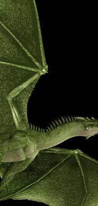 This ultra-detailed, octanerender, high detailed live wallpaper features a close up of a green dragon with scales and wings on a black background