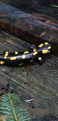 This phone live wallpaper showcases a vibrant yellow and black creature, possibly a salamander or a newt, perched on a log in front of a lush green forest background