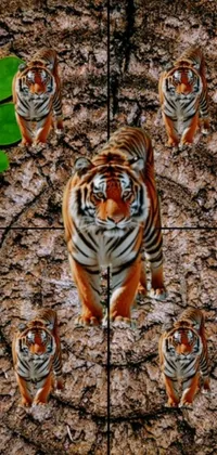 Plant Siberian Tiger Organism Live Wallpaper