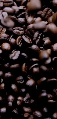 Plant Single-origin Coffee Ingredient Live Wallpaper