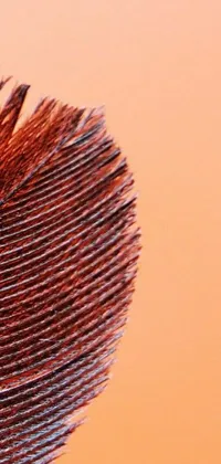 This mesmerizing live phone wallpaper features a hyper-detailed close-up of a reddish-brown feather set against an orange background