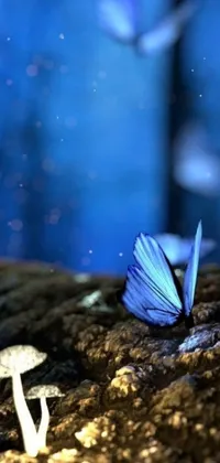 This live phone wallpaper presents a stunning blue butterfly perched atop a heap of dirt