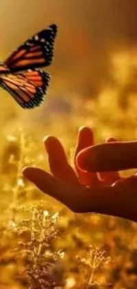 Looking for a serene and peaceful phone wallpaper? Look no further than this stunning live wallpaper featuring a delicate butterfly flying towards an outstretched hand