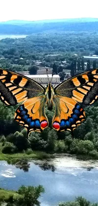 This live phone wallpaper showcases a vibrant, colorized photograph of a butterfly settled amidst a flourishing green field, bordered by a cityscape