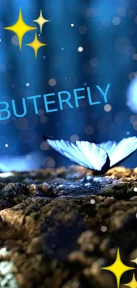 This captivating live wallpaper showcases a stunning butterfly resting on a rock
